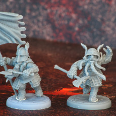 Picture of print of DWARF: Dwarves in Full Plate armors /Modular/ /Pre-supported/