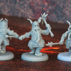 Picture of print of DWARF: Dwarves in Full Plate armors /Modular/ /Pre-supported/