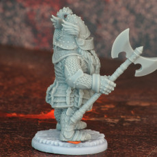 Picture of print of DWARF: Full Plate Add-ons /Modular/ /Pre-supported/