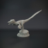 Velociraptor pack - dinosaur raptor image