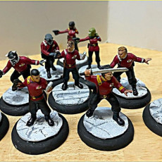 Picture of print of Away Team Red Alternative Command