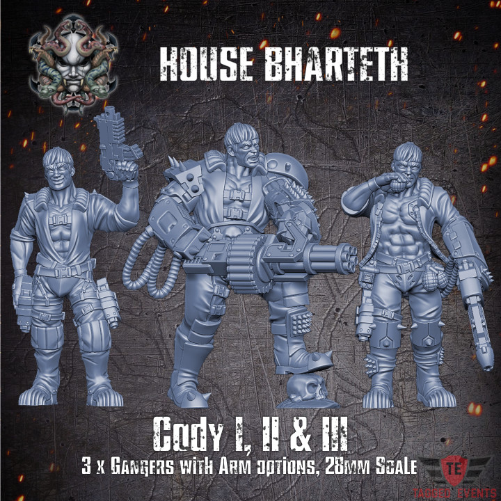 House Bharteth - Cody Trio's Cover