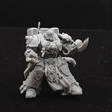 Picture of print of Imperial Marine Master of the order