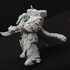 Picture of print of Imperial Marine Master of the order