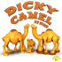 Dicky Camel image