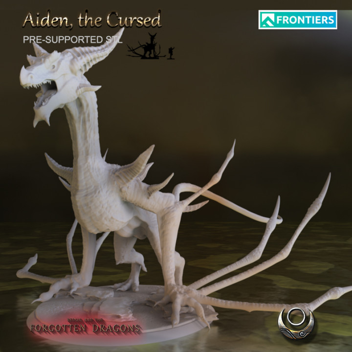 Ayden, the Cursed Dragon's Cover