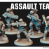 Assault Team image