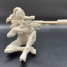 Picture of print of Sniper Pack