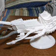 Picture of print of Space Nautilus Astral Ship (large Version)