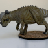 Pachycephalosaurus - Free Dino Model print image