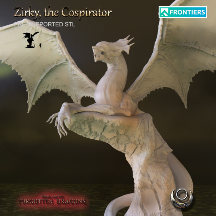 Zirky, the Cospirator's Cover