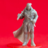 Bandit Captain - Tabletop Miniature (Pre-Supported) image