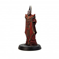 Picture of print of Red Wizard - Tabletop Miniatures (Pre-Supported)