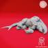 Defeated Bulette - Book of Beasts - Tabletop Miniature (Pre-Supported) image