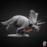 Pentaceratops - Dino image