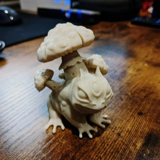 Picture of print of Toad mushroom