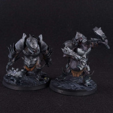 Picture of print of Trolls (all 3 poses) (armor and no armor/ 3 weapons)