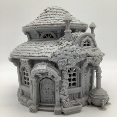 Picture of print of City of Firwood - Alchemist house