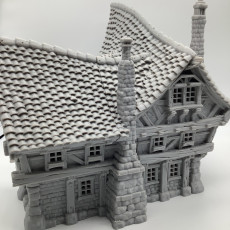 Picture of print of City of Firwood - Medium House