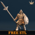 [FREE] Eternal Janissary Promo 01 image
