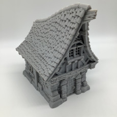 Picture of print of City of Firwood - Small House