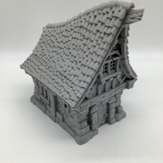 Picture of print of City of Firwood - Small House 这个打印已上传 Cool Kids Miniatures