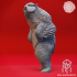 Rearing Owlbear - Book of Beasts - Tabletop Miniature (Pre-Supported) image