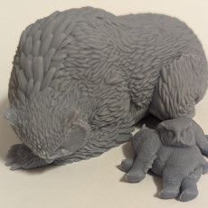 Picture of print of Sleeping Owlbear - Book of Beasts - Tabletop Miniature (Pre-Supported)