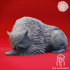 Sleeping Owlbear - Book of Beasts - Tabletop Miniature (Pre-Supported) image