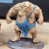 Ogre Brawler - Book of Beasts - Tabletop Miniatures (Pre-Supported) print image