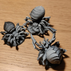 Picture of print of Giant Spiders (Set of 3) (Pre-Supported)