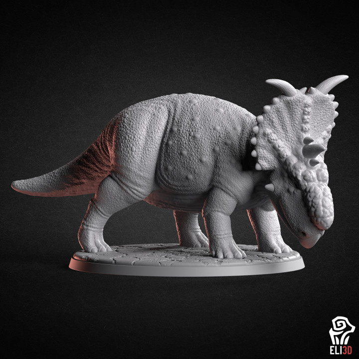 Pachyrhinosaurus - Dinosaur's Cover