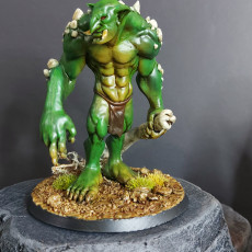 Picture of print of Troll Clubba - Book of Beasts - Tabletop Miniature (Pre-Supported)