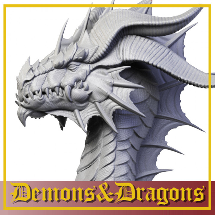 48 Dragon Bust's Cover