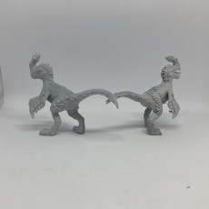 Picture of print of Gem raptors (5e stat block included)