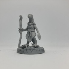 Picture of print of Firenewt tribe