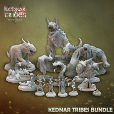 Kednar Tribes Kickstarter Collection