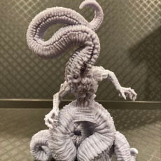 Picture of print of Nyariathotep (pre supported)