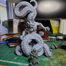 Picture of print of Nyariathotep (pre supported)