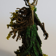 Picture of print of Lord of the Roots - Arch Fay - PRESUPPORTED - 32mm scale