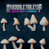 Mushrooms (pack 2) image