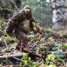 Picture of print of Sasquatch  - Tabletop Miniature (Pre-Supported)