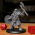 Dwarf Fighter Warrior Axe and Shield image