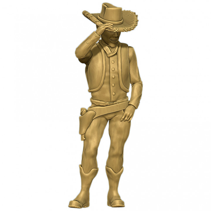 Cowboy - Investigators Pack's Cover