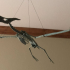 Pteranodon Skeleton image