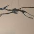 Pteranodon Skeleton image