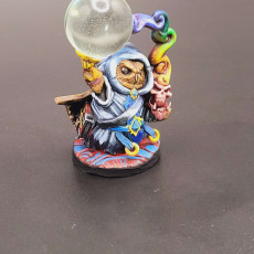 Picture of print of Owlkin Necromancer 1B Miniature - Pre-Supported