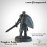 Kingdom Knights 01 Sword and Shield image