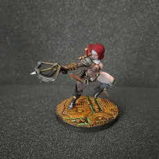 Picture of print of Battle Nun Sword & Crossbow