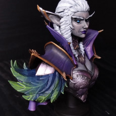 Picture of print of Drow Battlemage Bust